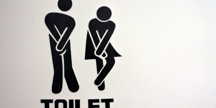 No Toilet, No Problem: Creative Ways To Answer Nature's Call