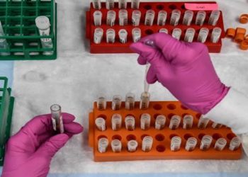 WHO, US Health Authorities Track Spread of New COVID-19 Variant